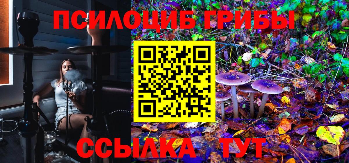Галлюциногенные грибы мицелий Кинель