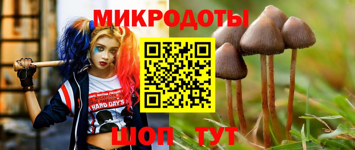 Псилоцибиновые грибы мухоморы  Вход с VPN  Кинель 